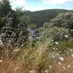 DSCN3843