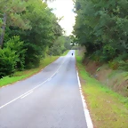 21-IMG_2720