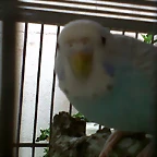 IMG00015-20101008-1623