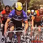 Agostinho-Hinault