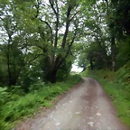 DSCN4700
