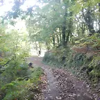 DSCN4455