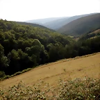 DSCN4421
