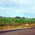 DSCN6693