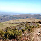 DSCN1540