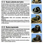Buj?as, com