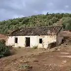 cortijo de gorila