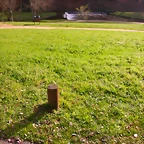 DSCN1096