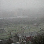 DSCN0961