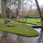 DSCN0985