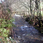 DSCN1078