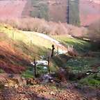DSCN1060