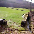 DSCN1086
