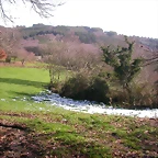 DSCN1042