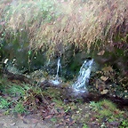 DSCN1061