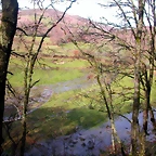 DSCN1071