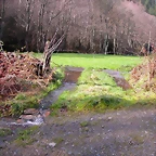 DSCN1074