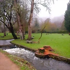 DSCN0986