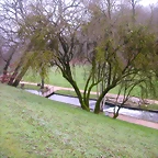 DSCN0996
