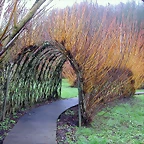 DSCN1008