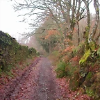 DSCN1019