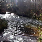 DSCN1076