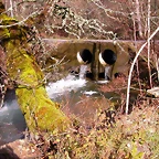 DSCN1080