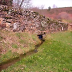 DSCN1088