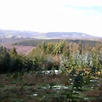 DSCN1082