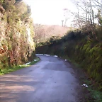 DSCN1068