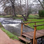 DSCN0984