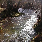 DSCN1077