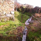 DSCN1084