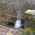 DSCN1085