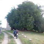 DSCN3521