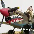 P-40M 006