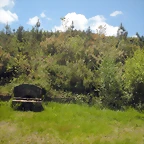 DSCN5366