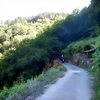DSCN4204