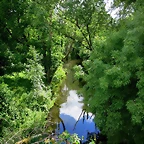 60-IMG_1531