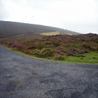 DSCN8427