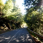 DSCN0621