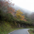DSCN0959