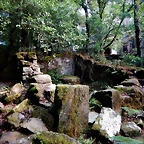 DSCN8421