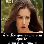 SI TE  DISE  QUE  TE  QUIERE