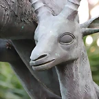 Zoo Barcelona 29-11-11 210