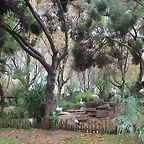 Zoo de Barcelona 15-11-11 016