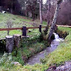 DSCN7303