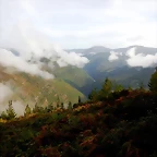 DSCN0096