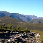 DSCN8071
