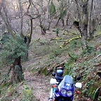 DSCN6119